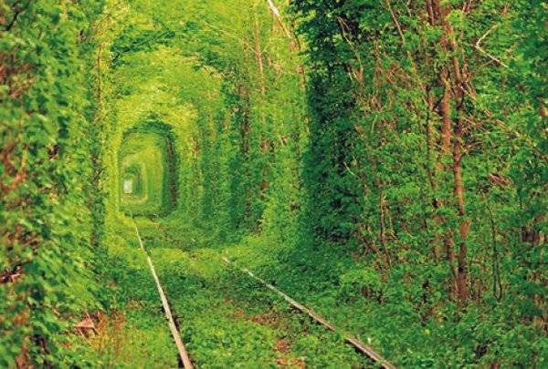 lepa-mesta-putovanja-cinkve-tere-plava-laguna-tunel-ljubavi-ledeni-kanjon-1363817962-285701