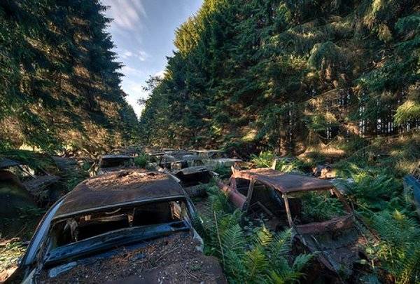 priroda-foto-flickr-1390931685-435879