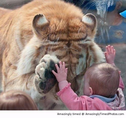 Helping-console-a-friend-resizecrop--