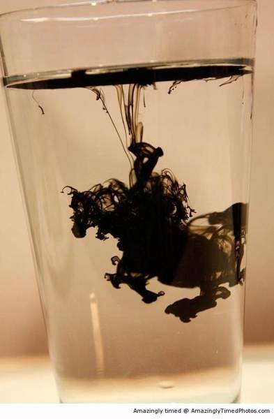 Instant-seahorse-just-add-ink-resizecrop--