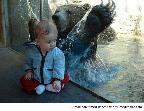 The-real-pedobear-resizecrop--