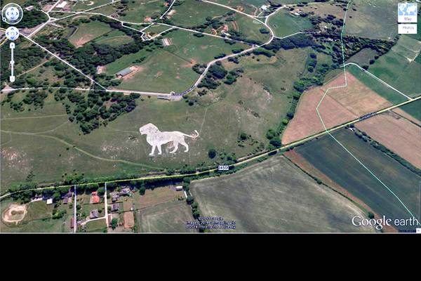 lion-google-earth