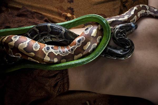 luksuz-spa-centar-masaza-piton (10)