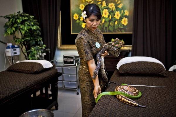 luksuz-spa-centar-masaza-piton (6)