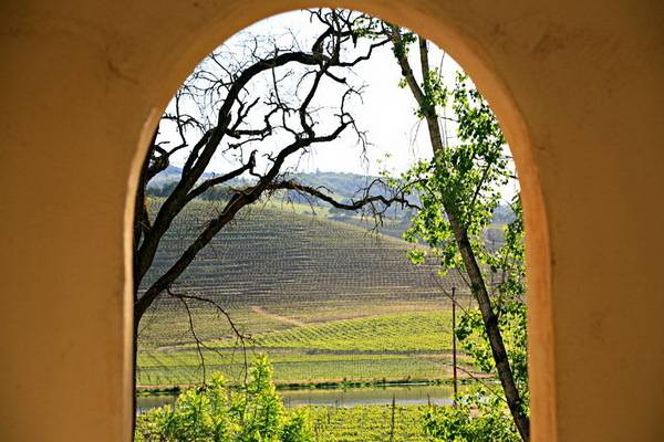 luksuz-spa-napa-vino-08