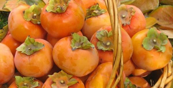 Домашна козметика од јапонско јаболко