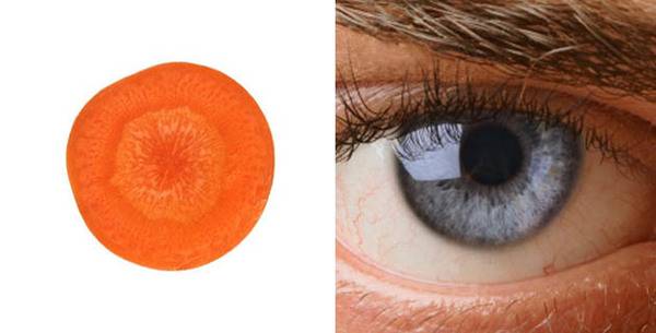 Храна која изгледа како дел од телото и е добра за истиот