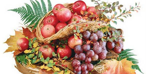 Од А до Ш – супстанци против нечиста кожа