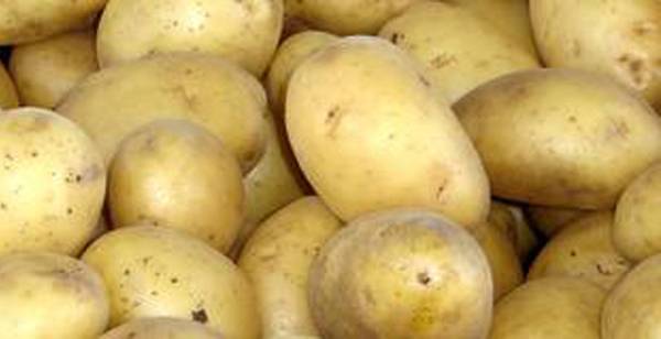 Природен лек за хемороиди