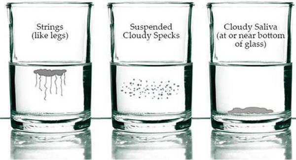 Домашен тест за откривање на кандида