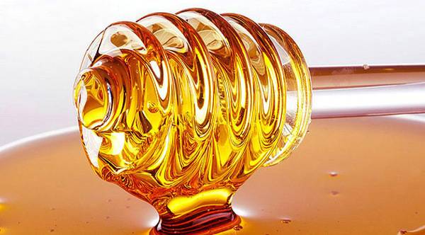 Предности при конзумирање на мед со топла вода