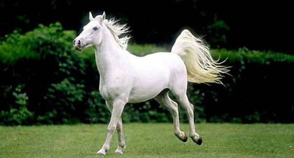 Не судете, не одете толку предалеку! Кој знае што е срeќа, а што несреќа