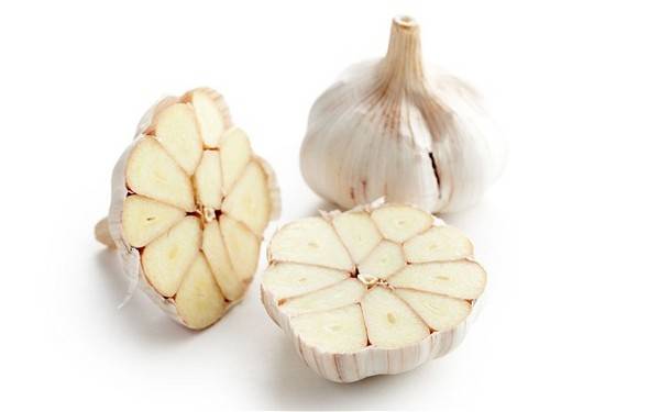 Магијата на лукот