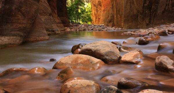 Уникатниот тунел во националниот парк Зион