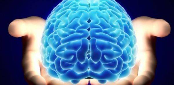 Петте тајни за машкиот ум