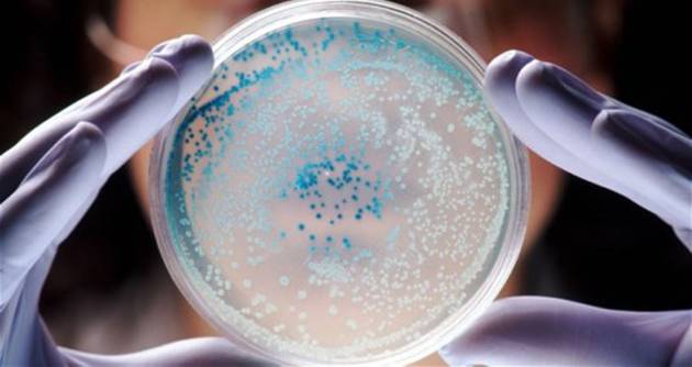 Дознајте ја разликата помеѓу вирус и бактерија