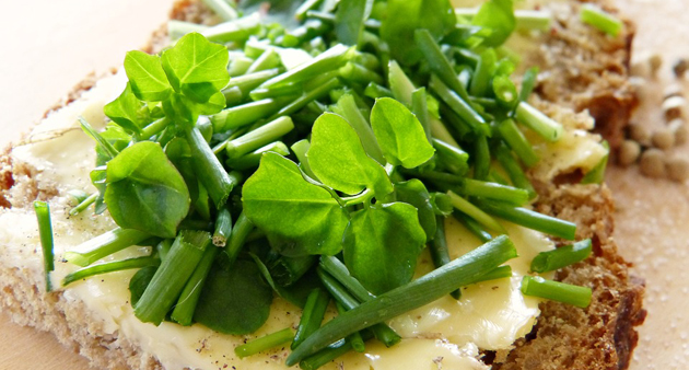 ПОСНА ПАШТЕТА: Брз намаз од туна