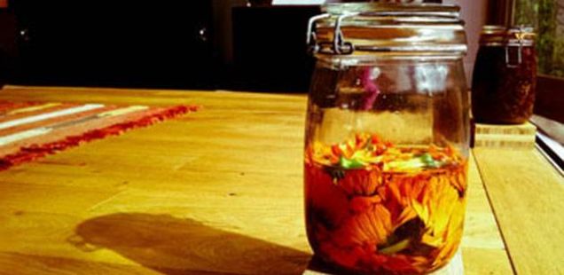 Невен – природен лек за ПМС и мелем за рани