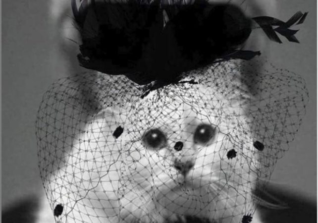 И ПО КАРЛ, КАРЛ: Погледнете ја новата модна колекција на мачката на Лагерфилд!