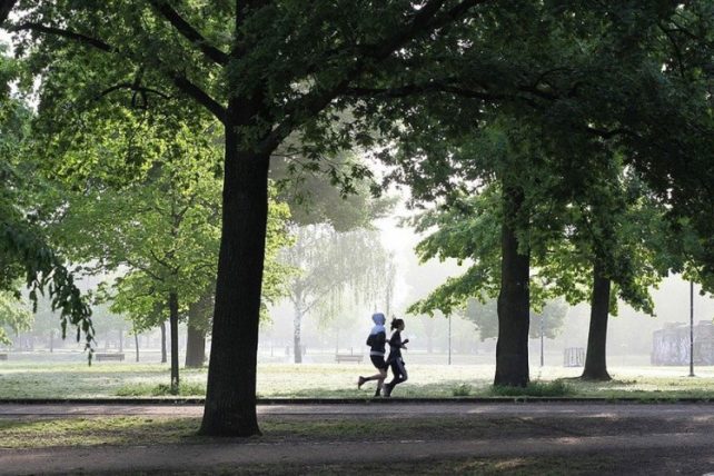 Како до подобар имунитет: Решението е трчање, брзо одење …