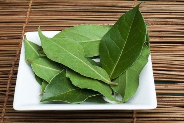 Лековит сируп од ловоров лист: спречува кашлица и ги чисти белите дробови