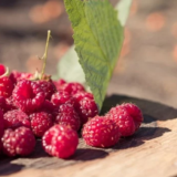 Зошто треба да јадете малини?